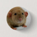 Search for rat badges Cute