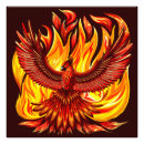 Search for phoenix bird posters Immortality