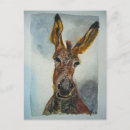Search for wild donkeys postcards Pets