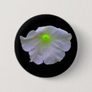 Search for petunia badges Plants