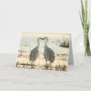 Search for migrate cards Bird