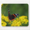 Search for butterfly mousepads Wildlife