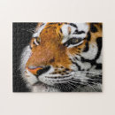 Search for serious puzzles Animal