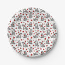 Search for raccoon plates Pattern