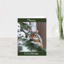 Search for chipmunk christmas cards Wildlife