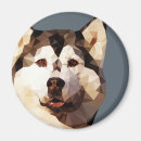 Search for polis magnets Poly