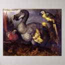 Search for dodo bird art Animal