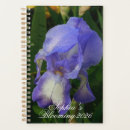 Search for irie photography Purple iris flower