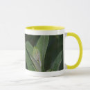 Search for monarch mugs Milkweed