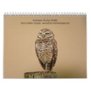 Search for manatee office supplies Nature
