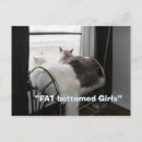 Search for fat cat postcards Pets