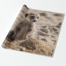 Search for meerkat wrapping paper Wildlife