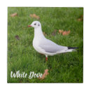 Search for dove tiles Bird