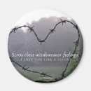 Search for barbed magnets Wire
