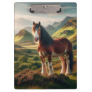Search for clydesdale horse Nature