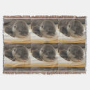 Search for otter blankets Cute
