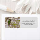 Search for annas return address labels Birding