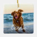 Search for animal lover christmas tree decorations Create your own