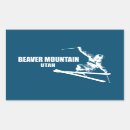 Search for beaver stickers Ski