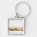 Search for retriever key rings Animal