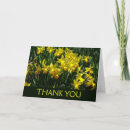 Search for daffodils thank you cards Leaves