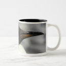 Search for king penguin mugs Wildlife