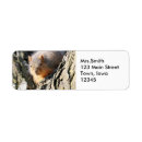 Search for butt labels Nature