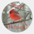 Search for cardinal in winter stickers Red