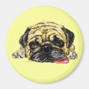 Search for mopping magnets Puppy
