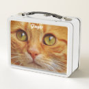 Search for funny lunch boxes Kitten