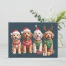Search for goldendoodle christmas cards Santa