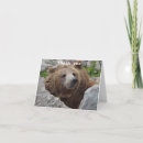 Search for grizzly bear cards Portrait