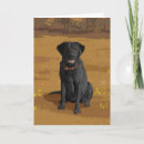 Search for labrador cards Black lab