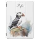 Search for puffin cases winter
