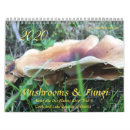 Search for fungi calendars Woods
