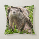 Search for wood log cushions Nature