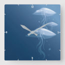 Search for chrysaora Underwater