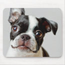 Search for closed mousepads Small