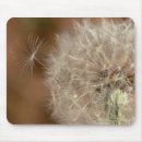 Search for weeding mousepads Seeds