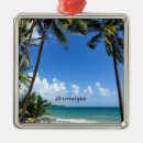 Search for coconut christmas tree decorations Vacation
