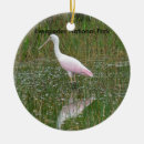 Search for alligator christmas tree decorations Everglades national park