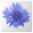 Search for cornflower blue tiles Summer