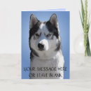 Search for alaskan malamute christmas cards Siberian husky