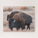 Search for bison puzzles Wilderness
