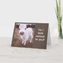 Search for cow cards Co worker