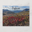 Search for yukon territory postcards North