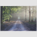 Search for landscape tissue paper Craft