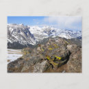 Search for yellow snow postcards Landscape