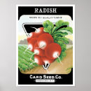 Search for radish art Gardening