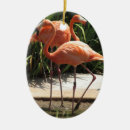 Search for flamingo christmas tree decorations Birds